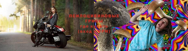 прущие крисы Михайлов