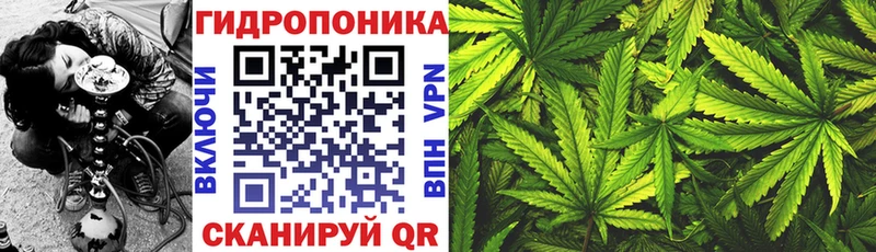 Шишки марихуана гибрид  Камызяк 